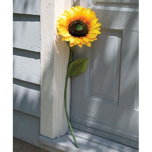 Giant Sunflower Stem