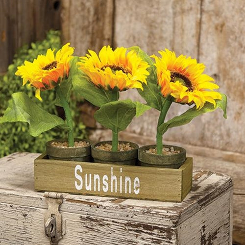 3/Set Potted Sunflowers in Wooden Crate