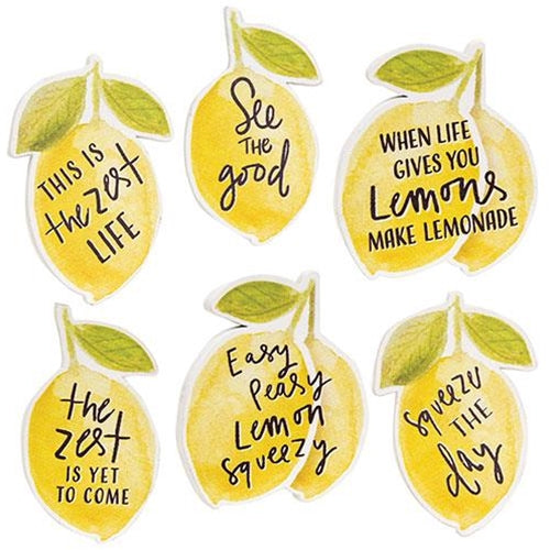 6/Set Lemon Sayings Magnets