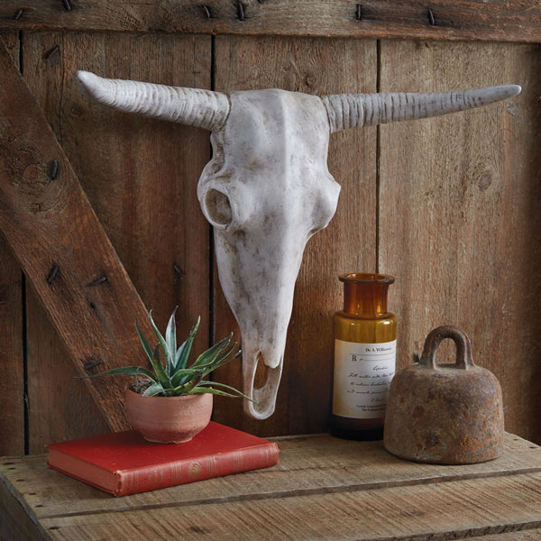 Longhorn Resin Skull