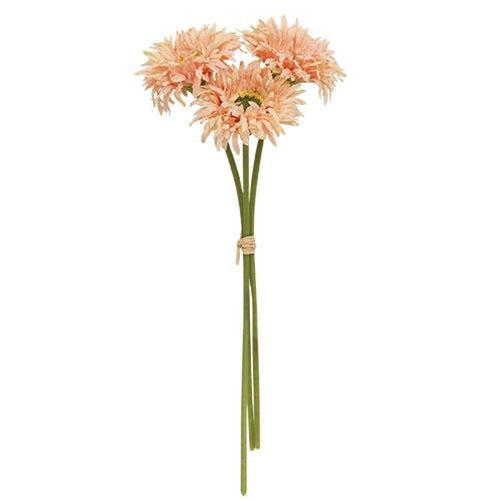 Triple Gerbera Daisy Bouquet Peach