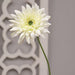 Blooming Daisy Stem White