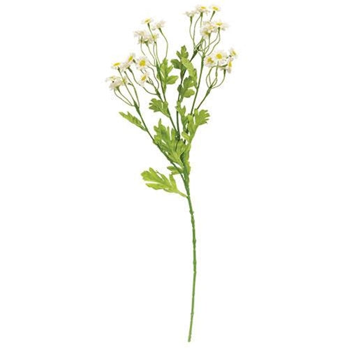 Chamomile Flower Spray White