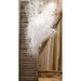 Weeping Pampas Grass Branch White