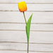 Sunrise Tulip Stem 15.5"