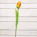 Sunset Tulip Stem 15.5"