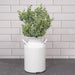 Flocked Sparkle Boxwood Bush