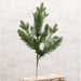 Mixed Blue Spruce Spray 21"