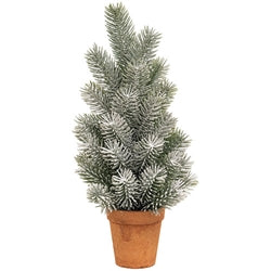 Pine Tree In Terra Cotta Pot 14" 3 Asstd.