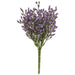 Array Astilbe Bush Purple