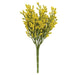 Array Astilbe Bush Yellow