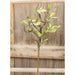 Sage Leaves & Twigs Pick 16"