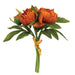 Persimmon Peonies Bundle