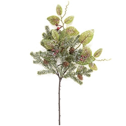 Snowy Fittonia Pine & Berries Pick 15"