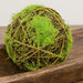 Mossy Twig Ball 6"