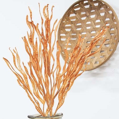 Woodbury Grass Spray 34" Orange