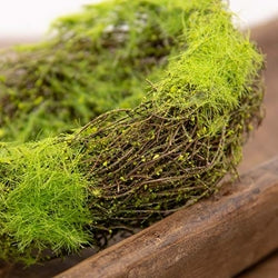 Mossy Vine Birdnest 6"