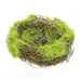 Mossy Vine Birdnest 6"