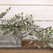 Snowy Eucalyptus Garland 5ft