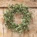 Red Pip & Foamy Herb Wreath