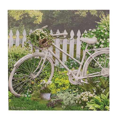 Vintage Garden Bicycle Canvas Print