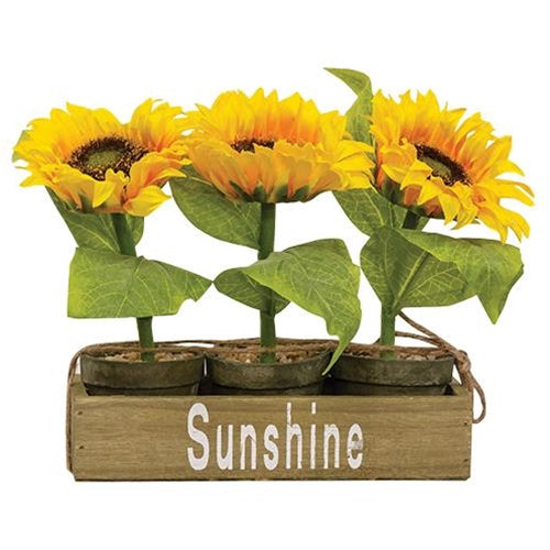 3/Set Potted Sunflowers in Wooden Crate