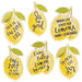 6/Set Lemon Sayings Magnets