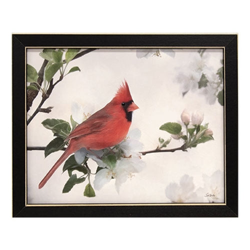 Spring Cardinal Framed Print 10x8