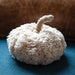 Ivory Sherpa Pumpkin w/Jute Stem Large