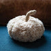 Ivory Sherpa Pumpkin w/Jute Stem Medium