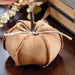 Stuffed Brown Pumpkin w/Seams 5"