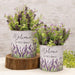 2/Set Welcome to Our Home Lavender Buckets