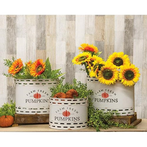 3/Set Farm Fresh Pumpkins Oval Buckets