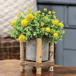 Mini Cement Planter in Wooden Frame