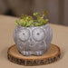 Owl Resin Planter