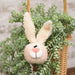 Fuzzy Bunny Boy Ornament