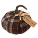 *Medium Plush Hello Fall Plaid Pumpkin