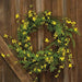 Forsythia Wreath 22"