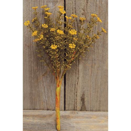 Mustard Fall Astilbe Bush 10.5"